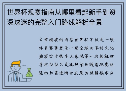 世界杯观赛指南从哪里看起新手到资深球迷的完整入门路线解析全景